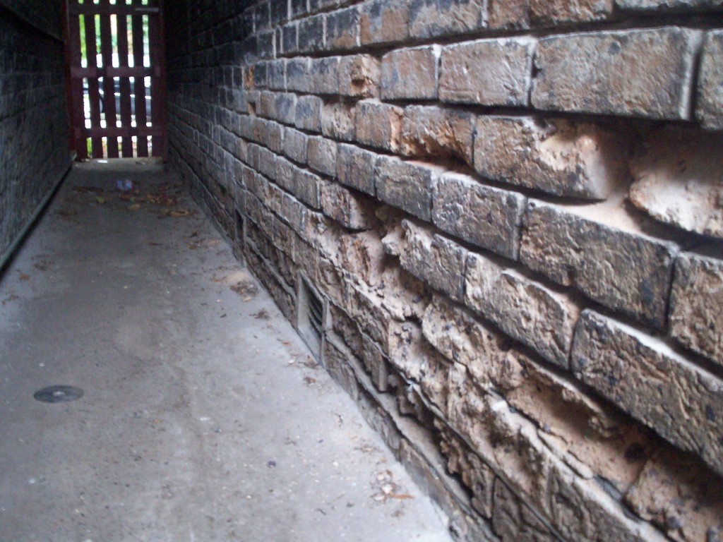 rising damp damage to external brickwork