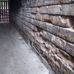 rising damp damage to external brickwork
