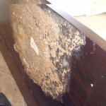 termite damage to back of bedhead