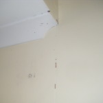 termite workings on gyprock wall lining